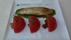 Aiguillette de Saint-Pierre rôti, pistou de roquette à l'huile de noix, girolles et tomates marinées