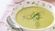 Velouté de courgettes au Companion