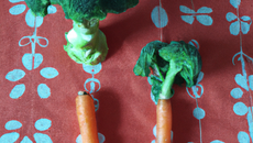 Duo brocolis carotte