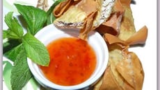 Raviolis frits au poulet