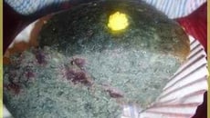 Muffins à la myrtilles