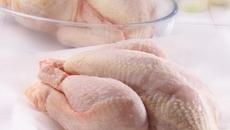 Waterzoï de poulet de Licques