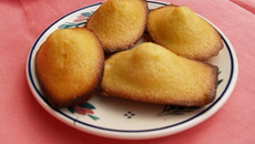 Madeleines moelleuses