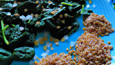 Lentilles, épinards et copeaux de parmesan