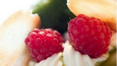 Crémeux mascarpone au chocolat blanc, framboises, sorbet basilic et tuiles dentelles