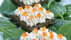 Hors d'œuvre épinards et Apérivrais Tartinade au Saumon