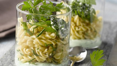 Torsades bio sur coulis basilic et persil