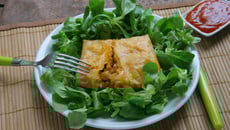 Pastilla individuelle au poulet et ketchup