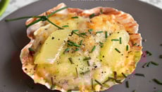 Coquilles Saint-Jacques gratinées aux champignons