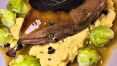 Colvert au choux et foie gras