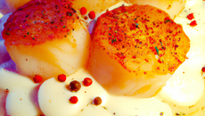 Poêlée de Saint-Jacques normandes à la crème d'épices douces