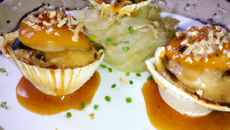 La fraîcheur de noix de saint jacques aux huîtres et sauce au sésame, julienne de panais au raifort