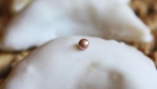 Cornes de gazelle simples