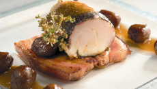 Suprème de sandre aux marrons