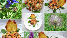 Déclinaison de salades à ma façon