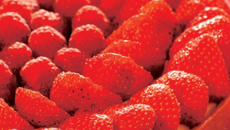 La pâte à tarte selon Francine