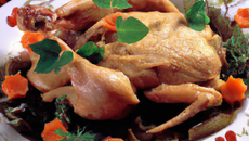 Faisan en sarcophage