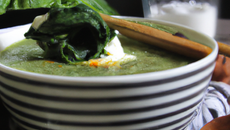 Velouté d'épinards au chèvre
