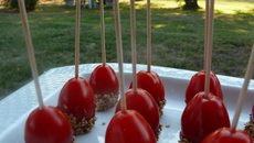 Tomates d'amour facile