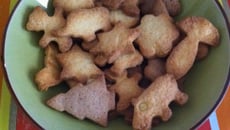 Petits Sablés de Noël  !