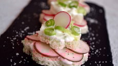 Petits toasts au fromage blanc et radis