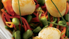 Noix de coquilles Saint Jacques étuve de légumes et beurre de vanille