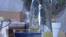 Citronnade tunisienne