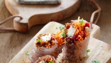 Rouleaux de printemps végétariens au Selles-sur-Cher AOP