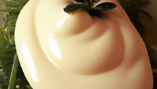 Mayonnaise légère