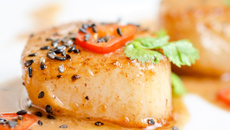 Noix de Saint-Jacques poêlées et parfumées