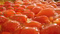 Tarte aux fraises gariguettes