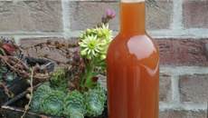 Jus de poires à la vanille pour le goûter