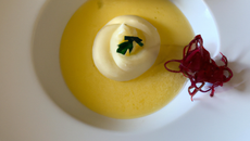 Velouté glacé de Riquette-Comcombre et son nuage citronné sucré