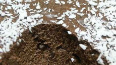 Mousse agar agarienne de chocolat