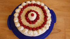 Framboisier inratable