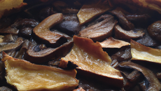 Tourte aux cèpes frais