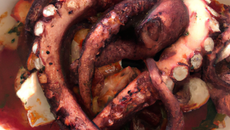 Poulpe à la Turque