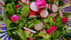 Salade aux deux radis