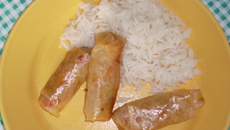 Nems en feuilles de brick