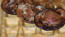 Gaufre de blé noir à l'andouille grillée