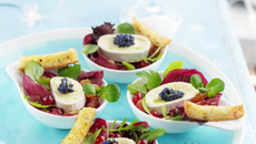 Salade de mesclun à l'En Cas de Caprice et sa vinaigrette au yuzu