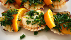 Saint Jacques snackées gremolata d'orange