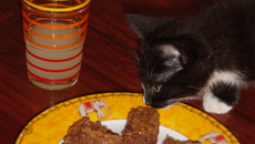 Brownies faciles et rapides