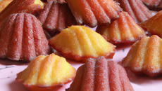 Madeleines provençales