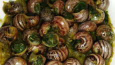 Escargots