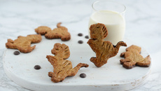 Biscuits façon Dinosaurus