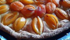 Tarte aux abricots sans crème ni amande