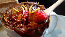 Mug cake chocolat framboises Molitor (vers de farine)