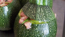 Courgettes farcies à ma façon aux herbes et aux épices