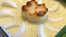 Fondue de poireau aux saint jacques